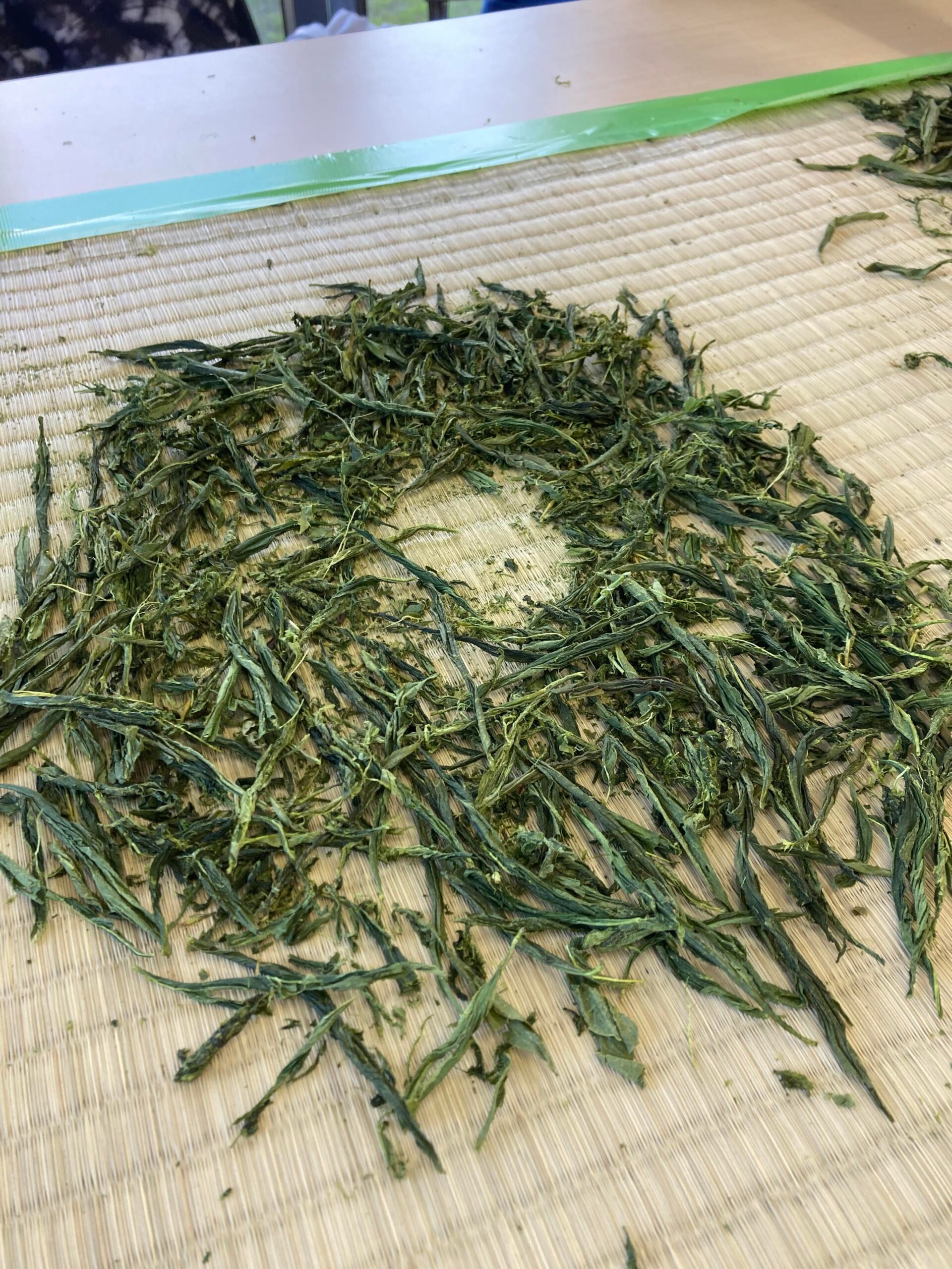 狭山茶の起源・幻の「慈光茶」が約500年ぶりに復活！　～慈光茶摘み体験・お茶づくり体験～（2022年6月4日）