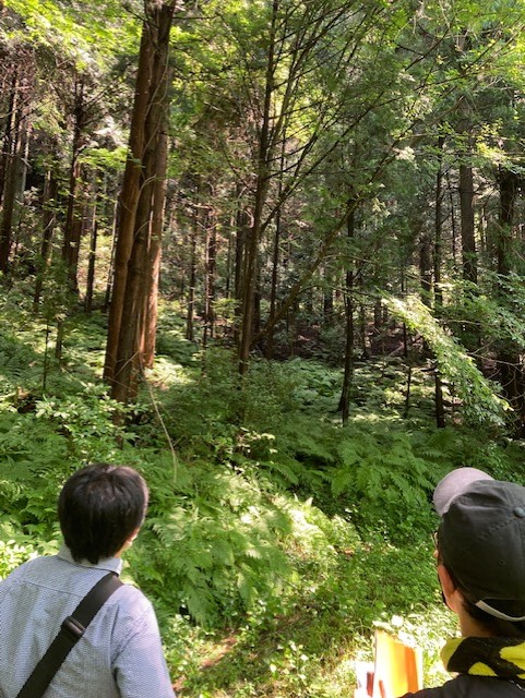 山活用に向けた山フィールドワーク！（2022年7月18日）