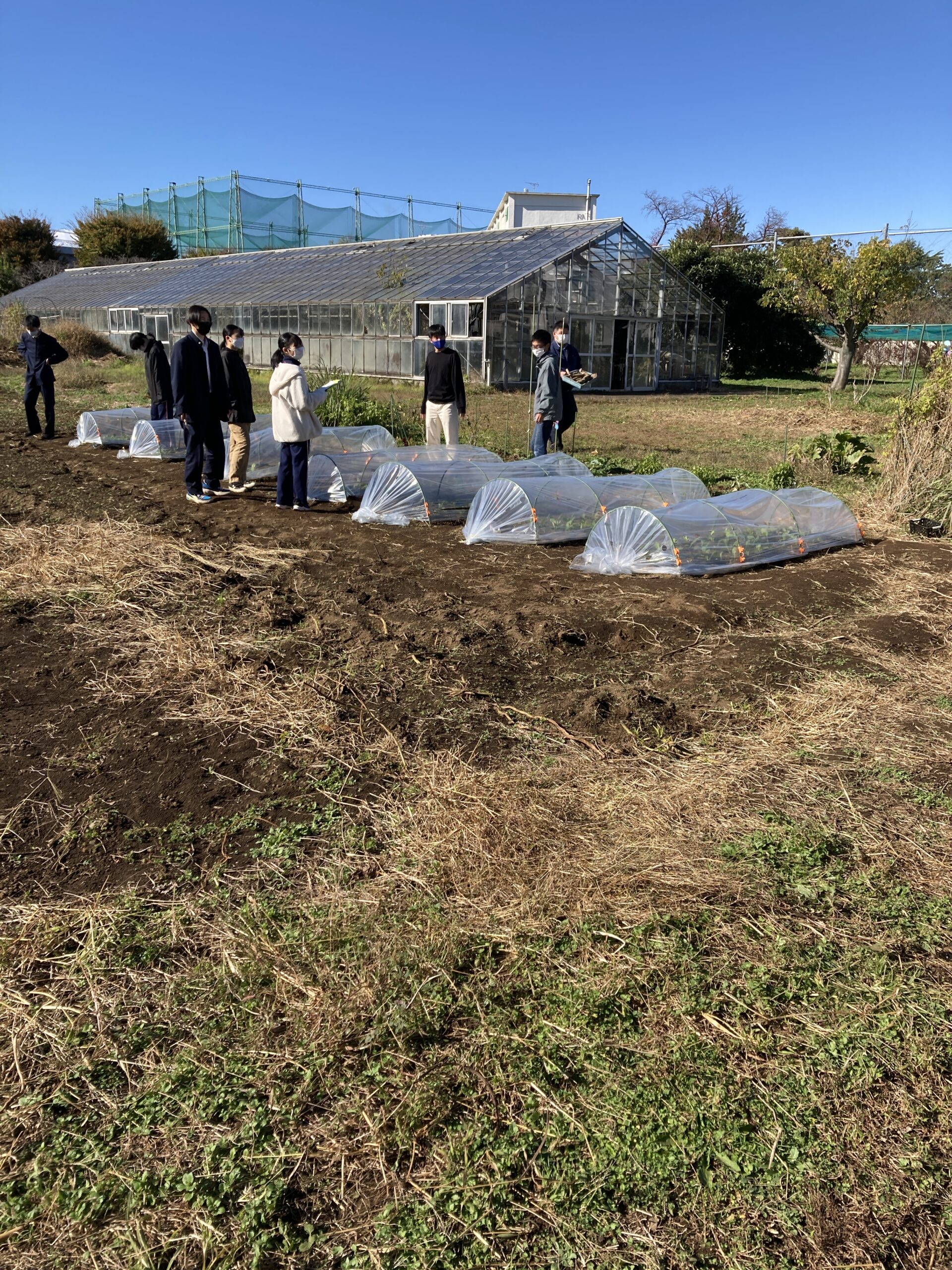 筑波大学附属坂戸高校で馬ふん堆肥を使った実験が始まりました（2022年11月16日）