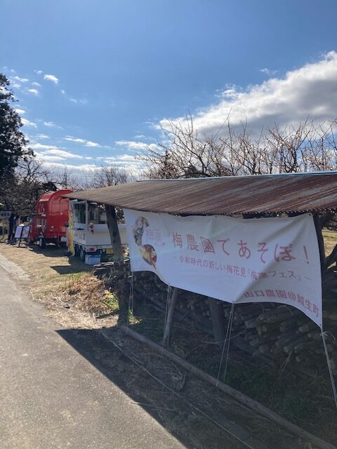 越生町・山口農園さんの梅凛フェスは場所活用の最高のお手本でした！（2023年2月25日）