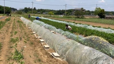 株式会社メガテラフーズ様の就労継続支援Ｂ型事業所（東松山第1事業所）を訪問しました（2023年5月12日）