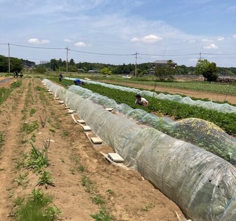 株式会社メガテラフーズ様の就労継続支援Ｂ型事業所（東松山第1事業所）を訪問しました（2023年5月12日）