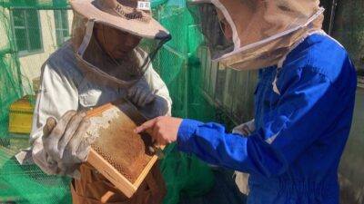 筑波大学附属坂戸高校にて商品開発の打合せと養蜂場の見学を行ないました(2023年10月23日)