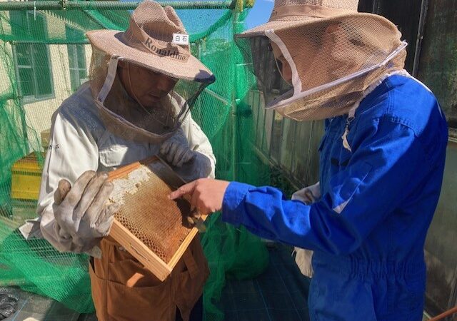 筑波大学附属坂戸高校にて商品開発の打合せと養蜂場の見学を行ないました（2023年10月23日）