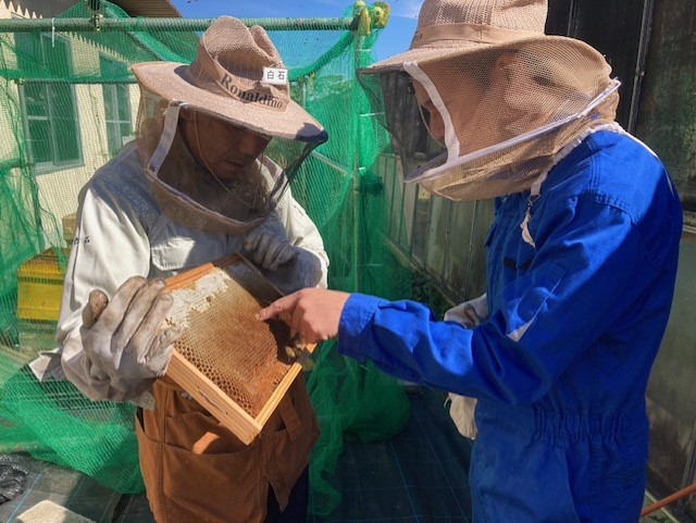 筑波大学附属坂戸高校にて商品開発の打合せと養蜂場の見学を行ないました（2023年10月23日）