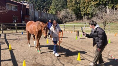ときがわホースケアガーデンさんにて、サードキャリアの馬と歩く新スポーツ「ホースコミュニケーションリーディング」爆誕!(2024年3月22日)
