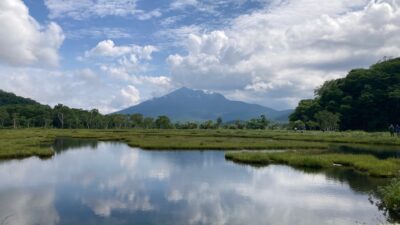 尾瀬国立公園のハイキング視察にいってきました(2024年8月12日、13日)