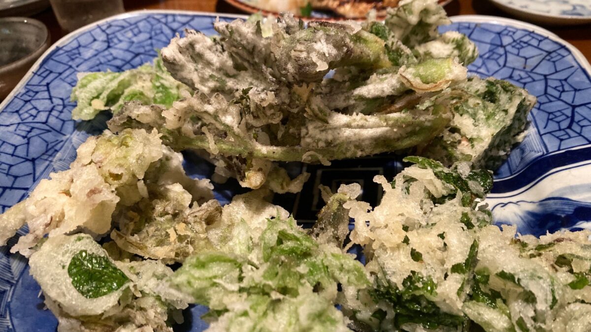 飛騨・高山視察１日目（2026年４月25日）