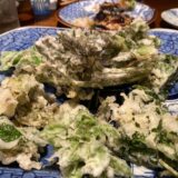 飛騨・高山視察１日目（2026年４月25日）