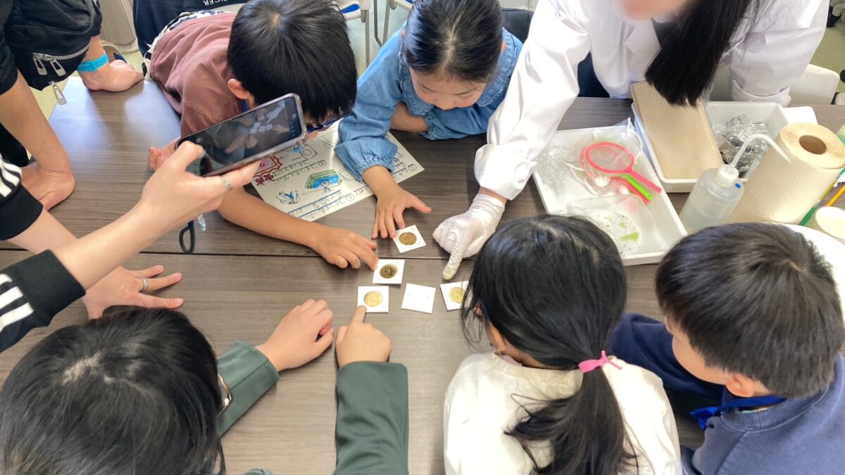 坂戸高校科学部による「科学実験教室」に参加しました（2026年3月29日）