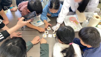 坂戸高校科学部による「科学実験教室」に参加しました（2026年3月29日）