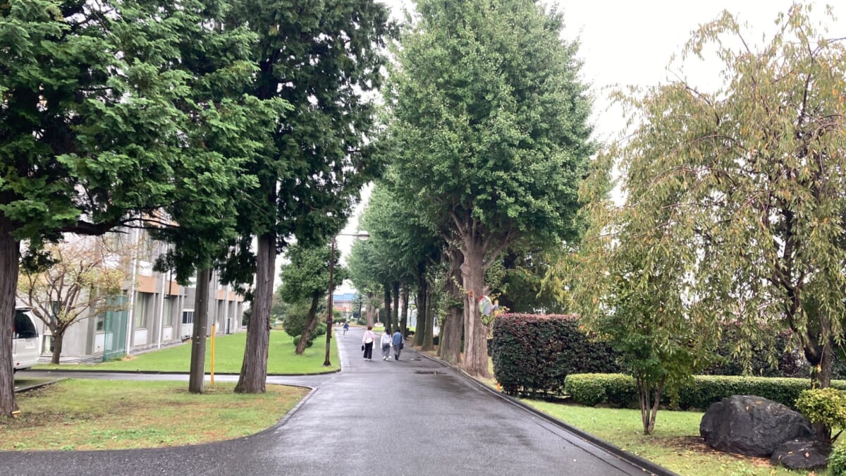 筑波大学附属坂戸高校「T-GAP最終発表会」で感じたコミュニティの場としての学校の可能性