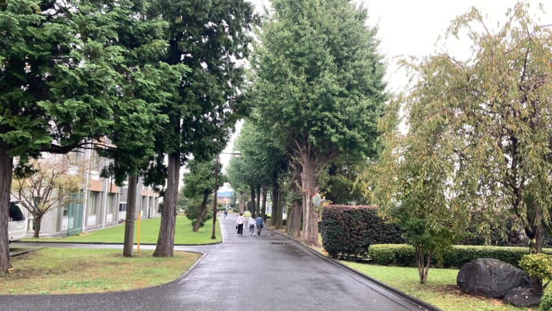 筑波大学附属坂戸高校「T-GAP最終発表会」で感じたコミュニティの場としての学校の可能性
